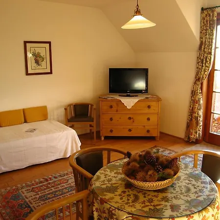 Roemerstein Light - Einfach Meins Hotel Loipersdorf bei Fuerstenfeld